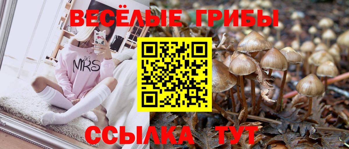 купить наркоту  Псилоцибиновые грибы Magic Shrooms  Вход с VPN  Красноярск  Галлюциногенные грибы Psilocybine cubensis 